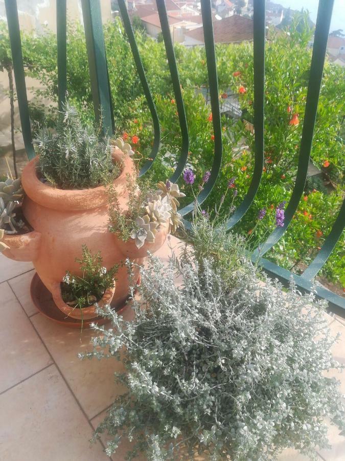 שיבניק Apartman Betty מראה חיצוני תמונה
